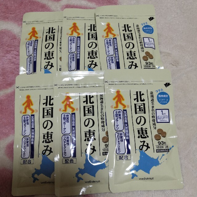 北国の恵み　93粒×6袋健康食品