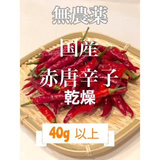 赤唐辛子(野菜)