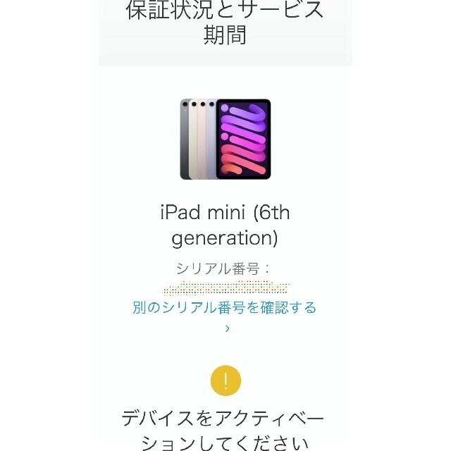 iPad(アイパッド)の新品未開封　保証未開始　iPad mini 6th グレー　64GB スマホ/家電/カメラのPC/タブレット(タブレット)の商品写真