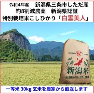 新米　玄米30kg 新潟県三条市旧下田村産　減農薬特別栽培米コシヒカリ 白雪美人(米/穀物)