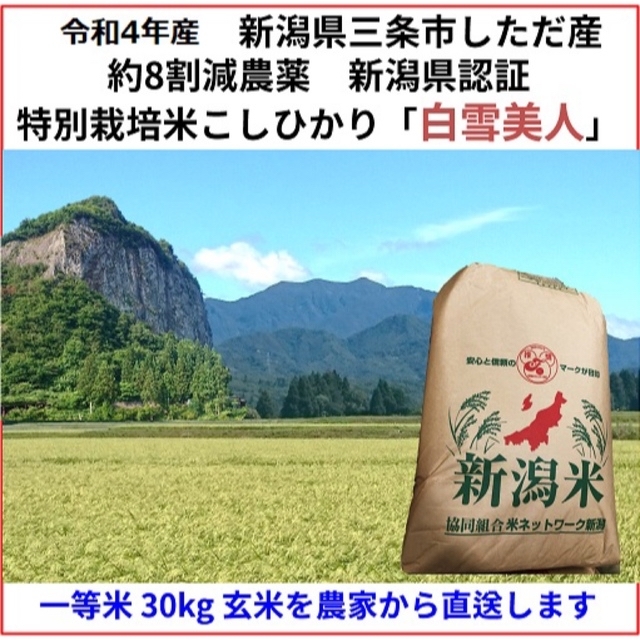 新潟県三条市旧下田村産　新米　白雪美人　新素材新作　玄米30kg　減農薬特別栽培米コシヒカリ