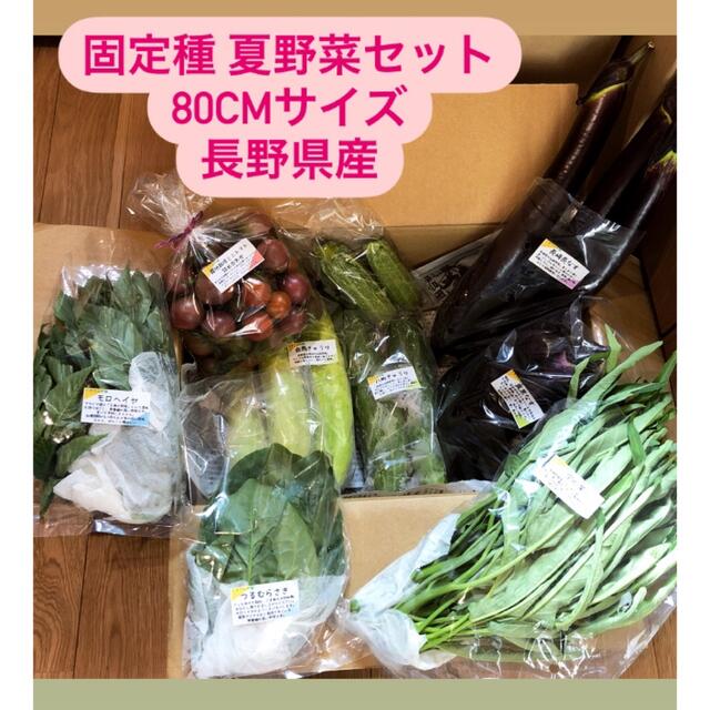 無農薬&固定種野菜セット★80cmサイズ★長野県産 食品/飲料/酒の食品(野菜)の商品写真