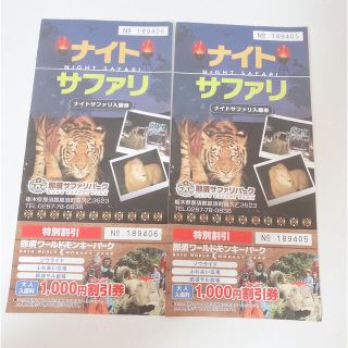 ⭐️那須ワールドモンキーパーク⭐️ 割引チケット 2枚‼️(動物園)