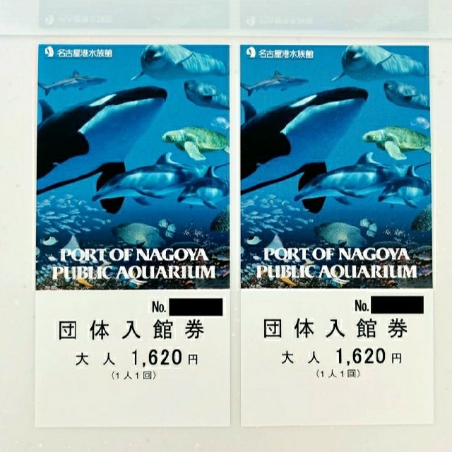 名古屋港水族館 チケット2枚
