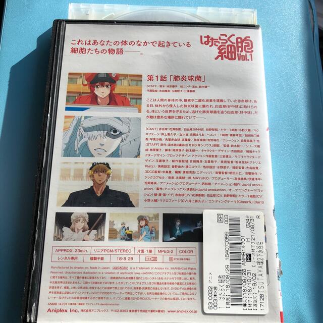 はたらく細胞 vol.1 DVD エンタメ/ホビーのDVD/ブルーレイ(アニメ)の商品写真