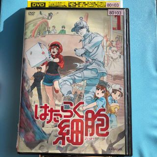 はたらく細胞 vol.1 DVD(アニメ)