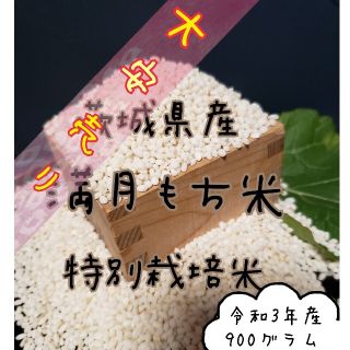 商品入替sale！満月もち米　令和3年産　餅米(米/穀物)