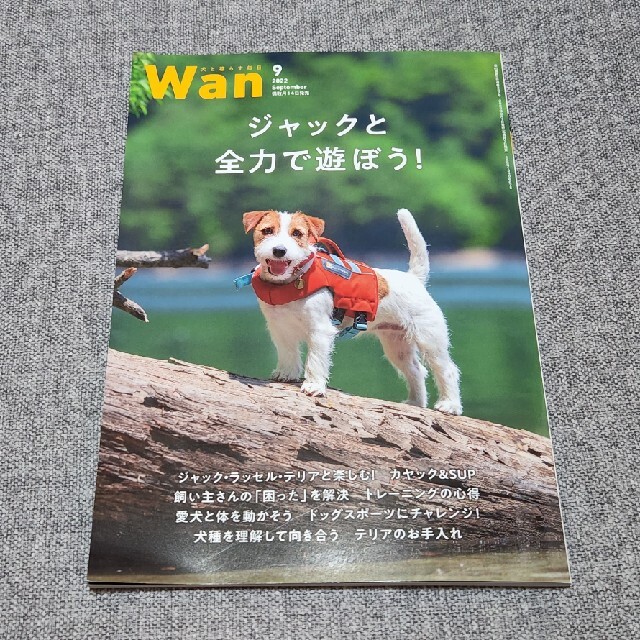 wan (ワン) 2022年 09月号　ジャックラッセルテリア エンタメ/ホビーの雑誌(その他)の商品写真