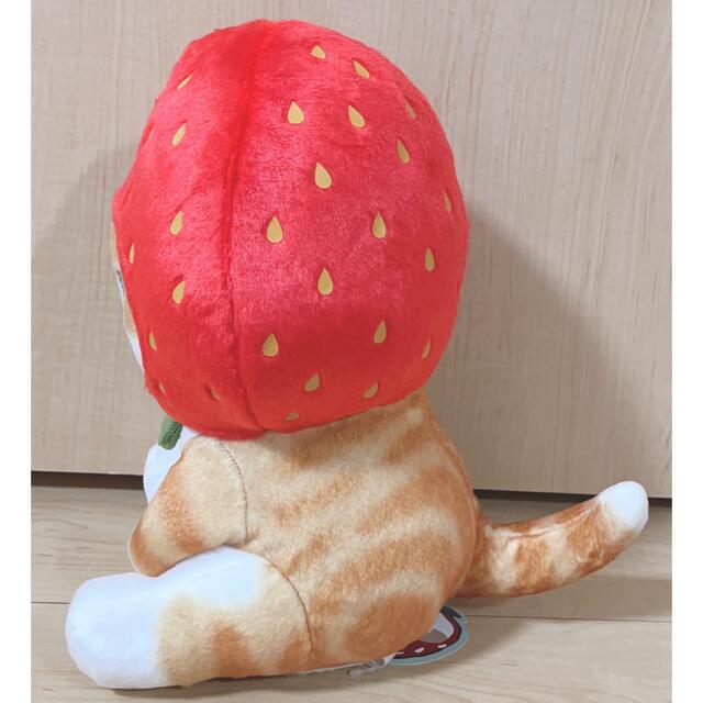 モフサンド フルーツにゃん BIGぬいぐるみの通販 by テチ's shop|ラクマ