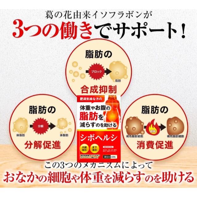 【100ヶ月分★新品未開封】シボヘルシ　30日分×100袋　ダイエットサプリ 食品/飲料/酒の健康食品(その他)の商品写真