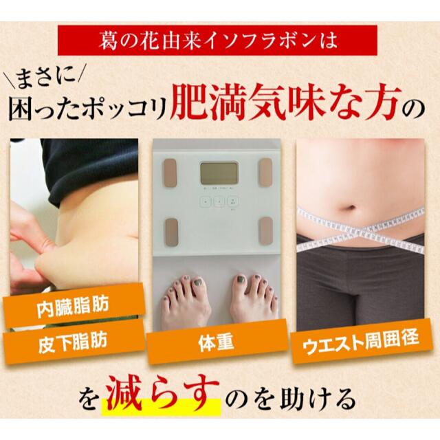 【100ヶ月分★新品未開封】シボヘルシ　30日分×100袋　ダイエットサプリ 食品/飲料/酒の健康食品(その他)の商品写真