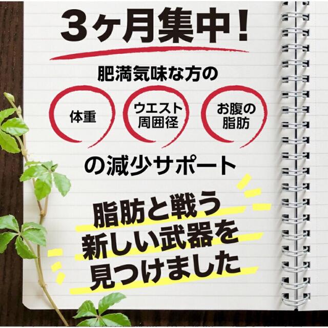 【100ヶ月分★新品未開封】シボヘルシ　30日分×100袋　ダイエットサプリ 食品/飲料/酒の健康食品(その他)の商品写真