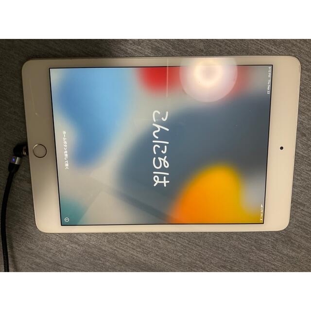 iPad mini 5 64GB Wi-fi+cellular(SIMフリー) 5