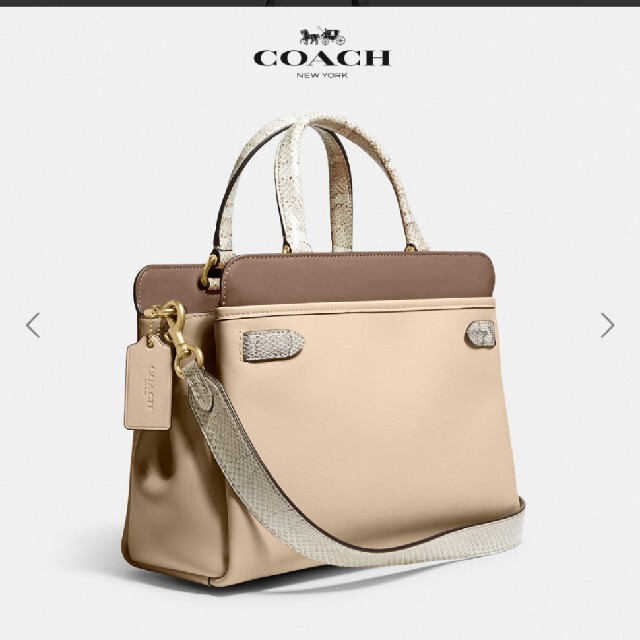 極美品 COACH ハンドバッグ テート キャリーオール 29 スネークスキン