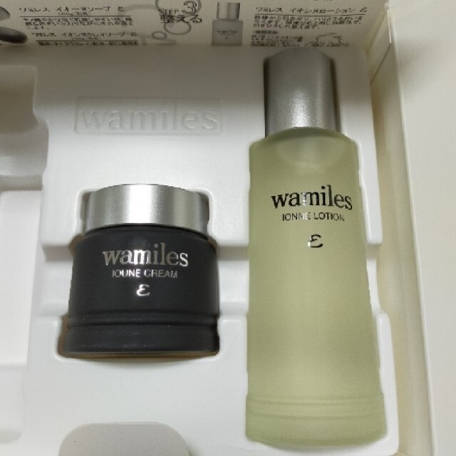2極タイプ ワミレス hiimさま専用 domainincite.com