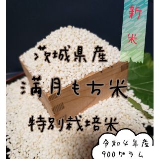 新米　満月もち米　900グラム　令和4年産　餅米(米/穀物)