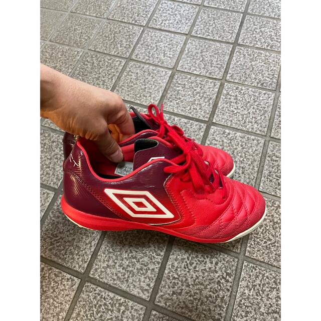 UMBRO(アンブロ)の[アンブロ] サッカー ジュニア トレーニングシューズ スポーツ/アウトドアのサッカー/フットサル(シューズ)の商品写真