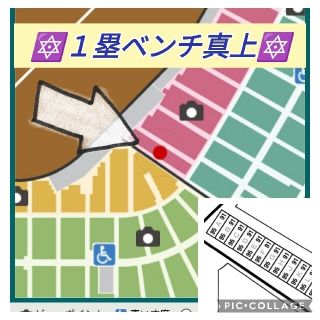 ハンシンタイガース(阪神タイガース)の10/2（日）vs.ヤクルト SMBC【ペア】(野球)