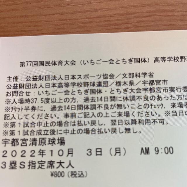 とちぎ国体　高校野球（硬式）　準決勝 チケットのスポーツ(野球)の商品写真