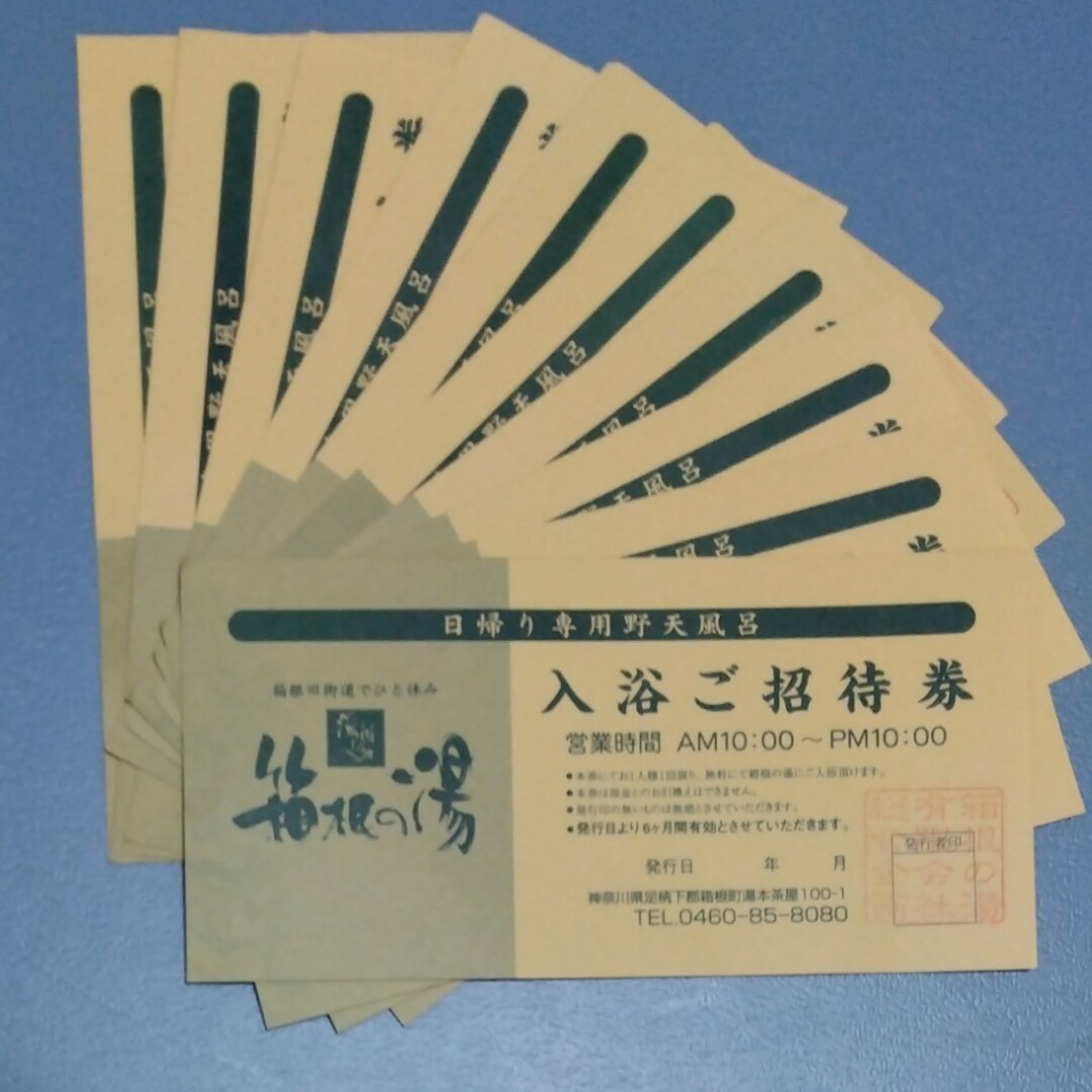 湯遊び処　箱根の湯　入浴招待券