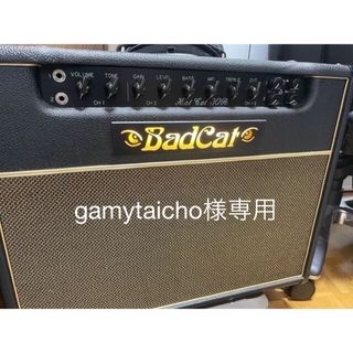 BadCat Hotcat 30R　ハードケース付き！(ギターアンプ)