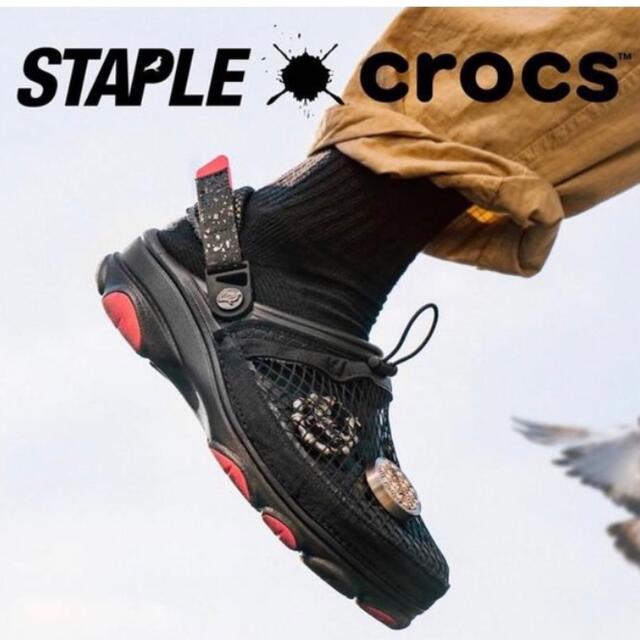 crocs(クロックス)のStaple Homing Pigeon × Crocs メンズの靴/シューズ(サンダル)の商品写真