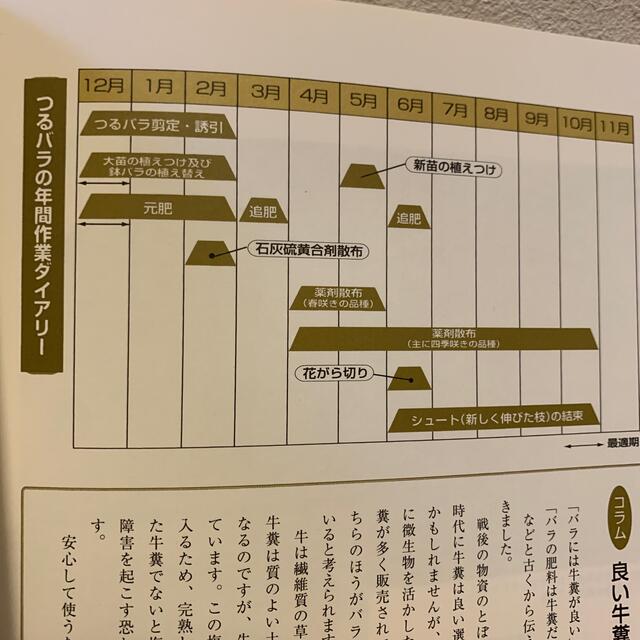 つるバラの庭 村田晴夫のバラの庭作り 入門編 復刻版 エンタメ/ホビーの本(趣味/スポーツ/実用)の商品写真