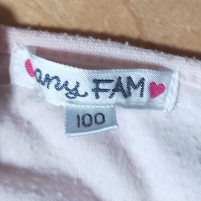 anyFAM(エニィファム)のanyFAN 子供服上2枚セット　100cm キッズ/ベビー/マタニティのキッズ服女の子用(90cm~)(Tシャツ/カットソー)の商品写真