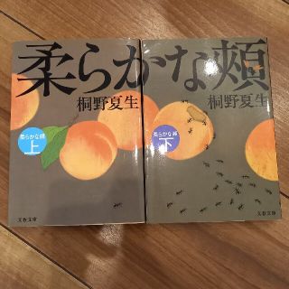 柔らかな頬（ほほ） 上下巻セット(文学/小説)