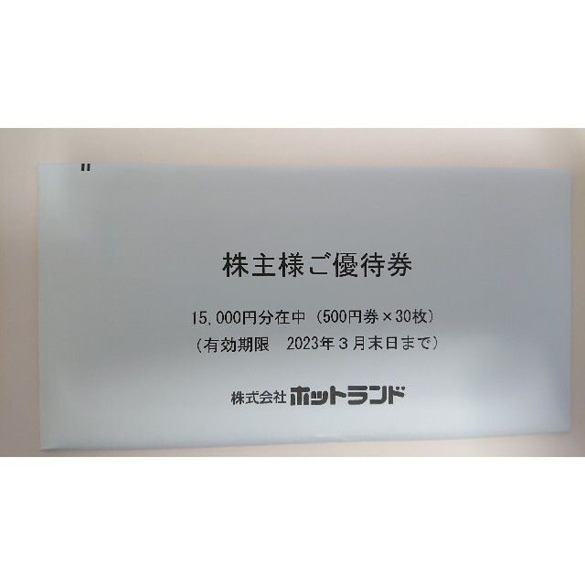 ホットランド 銀だこ 株主優待 15000円分 - フード/ドリンク券