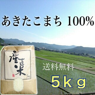 【るるるん様専用】愛媛県産あきたこまち100％　採れたて新米５Kg　農家直送(米/穀物)