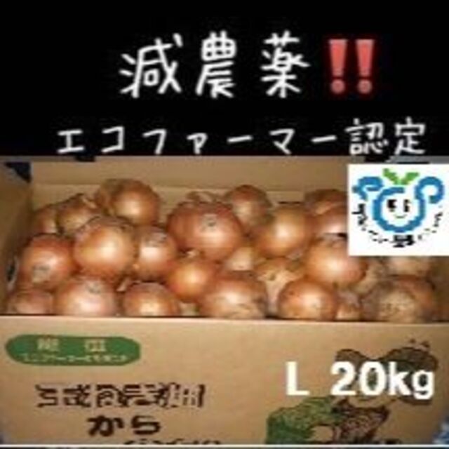 北海道産玉ねぎ 20kg Lサイズ 食品/飲料/酒の食品(野菜)の商品写真