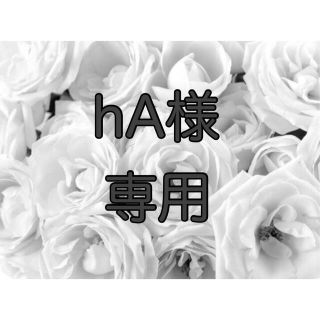 hA様専用(テープ/マスキングテープ)