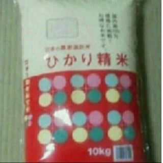 お米10kg(米/穀物)