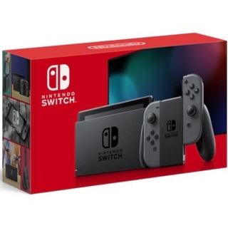 Nintendo Switch - Nintendo Switch 本体 グレー ケース セット JOY-CON