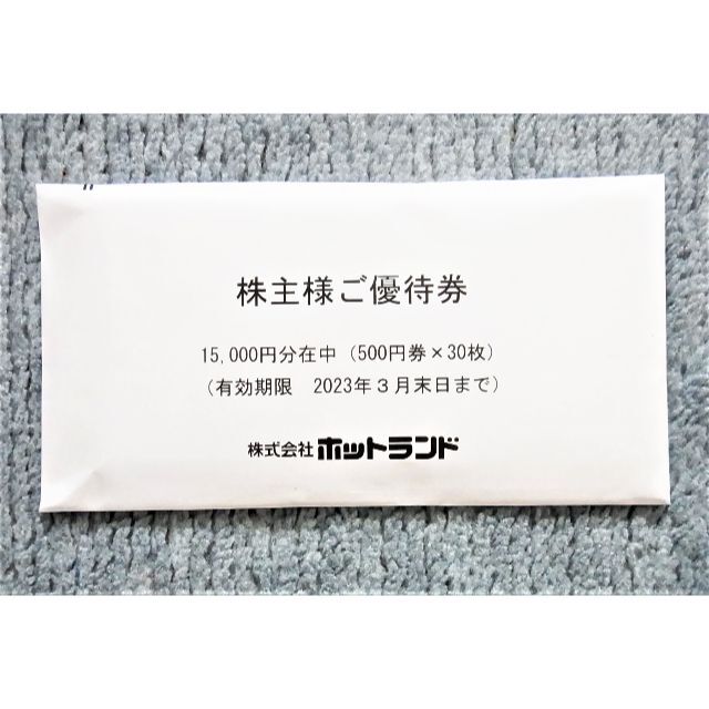 株式会社ホットランド(銀だこ) 株主優待券 500円×10枚 (5000円分)