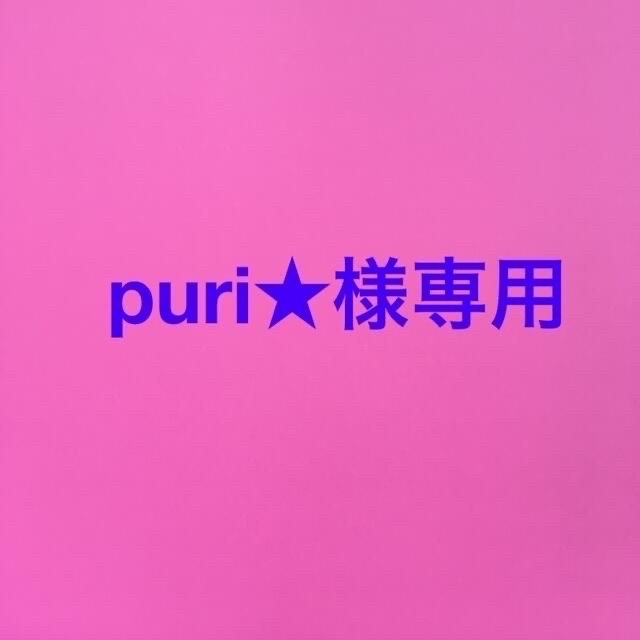 puri★様専用 ハンドメイドのぬいぐるみ/人形(ぬいぐるみ)の商品写真