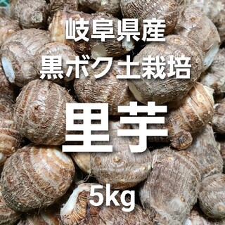 02 岐阜県産 無農薬 ねっとり 里芋 5kg 堀り立て発送！(野菜)