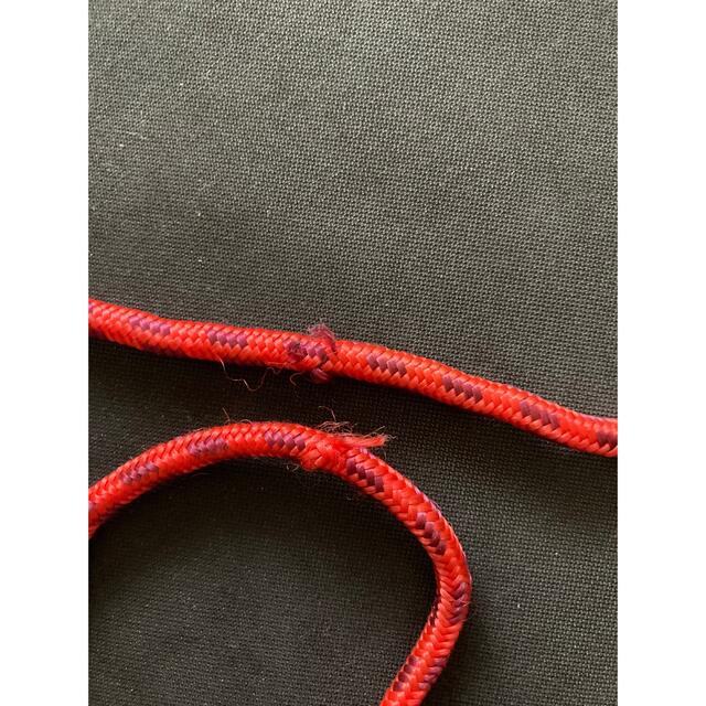 FAO Schwarz Jump Rope (縄跳び) キッズ/ベビー/マタニティのおもちゃ(その他)の商品写真