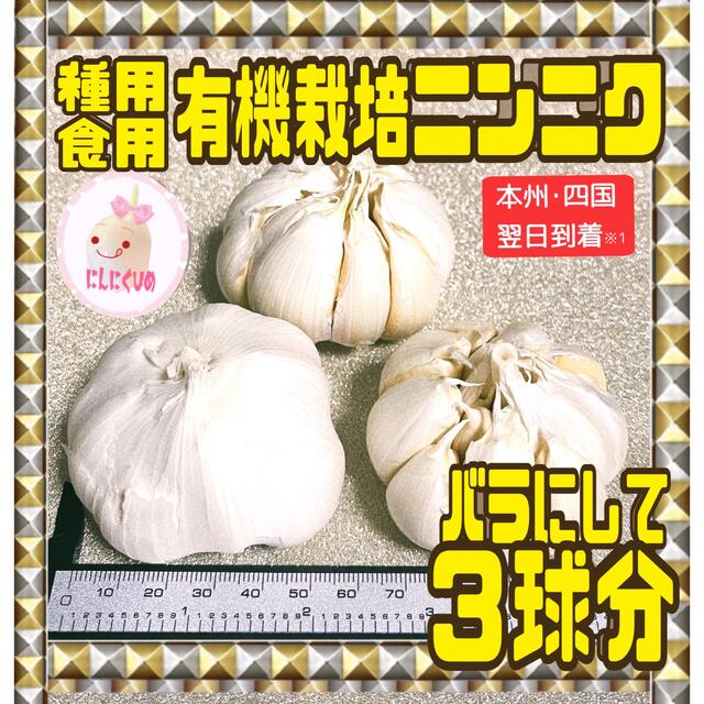 種ニンニク　有機栽培　ホワイト種　食用兼用　3球をバラシてネコポス　にんにくひめ 食品/飲料/酒の食品(野菜)の商品写真