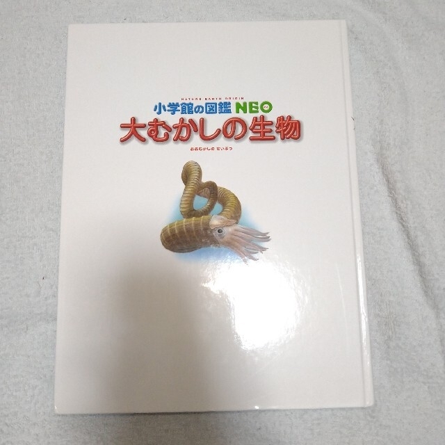 小学館の図鑑NEO  2冊＆めくってはっけん!せかいちずえほん