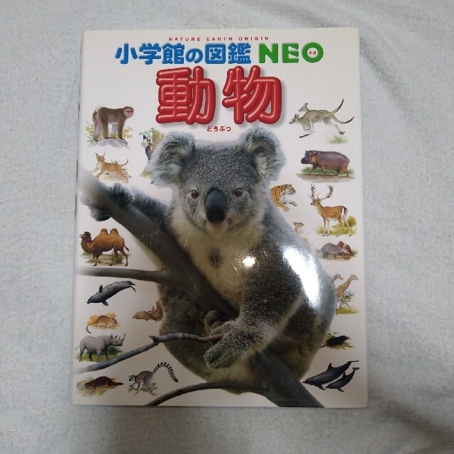 小学館の図鑑NEO  2冊＆めくってはっけん!せかいちずえほん