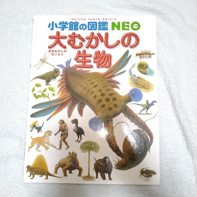 小学館の図鑑NEO  2冊＆めくってはっけん!せかいちずえほん