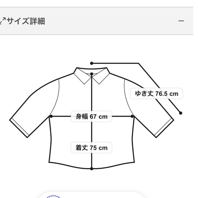 ViS(ヴィス)のVIS  ビッグシルエットシアーシャツ　パープル　ラベンダー レディースのトップス(シャツ/ブラウス(長袖/七分))の商品写真