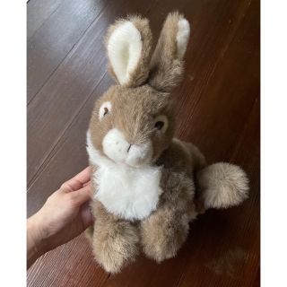 海外［アメリカ購入］Rabbit ラビットぬいぐるみ/パペット puppet(ぬいぐるみ)