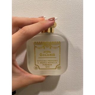 サンタマリアノヴェッラ(Santa Maria Novella)のサンタマリアノッヴェラ(香水(女性用))