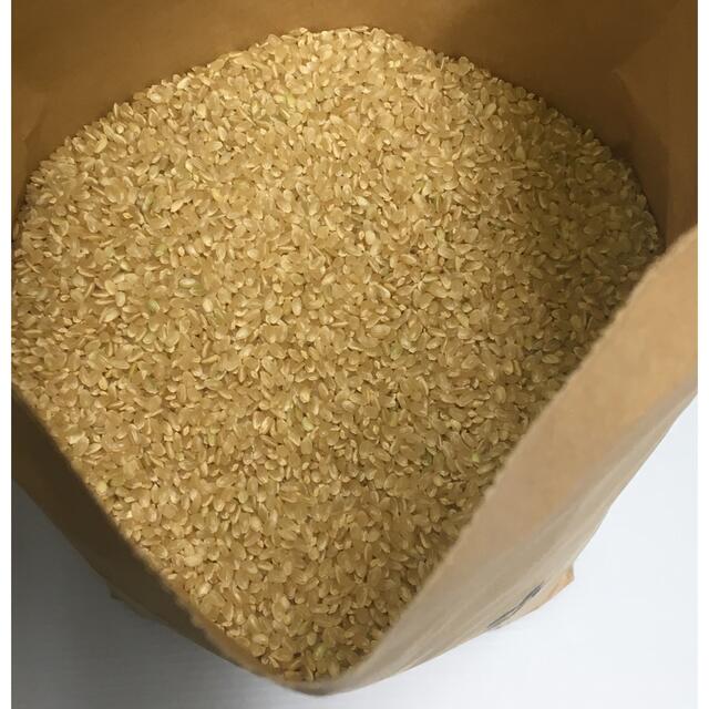 aaaa様専用 新米 無農薬コシヒカリ普通精米5kg、玄米15kg 令和4年産 aaaa様専用 新米 無農薬コシヒカリ普通精米5kg、玄米15kg 令和4年産