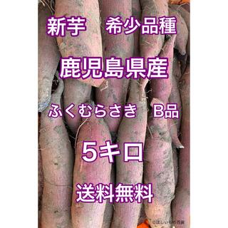 鹿児島産　希少品種　ふくむらさきB品　箱込5キロ(野菜)