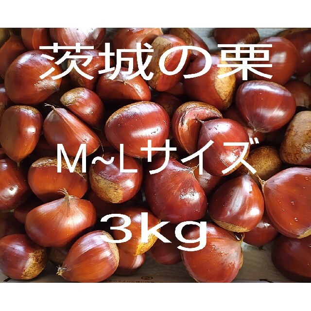 茨城の栗　M~Lサイズ3kg　無農薬栽培　常温発送　送料込 食品/飲料/酒の食品(フルーツ)の商品写真