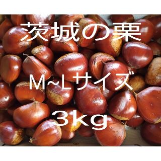 茨城の栗　M~Lサイズ3kg　無農薬栽培　常温発送　送料込(フルーツ)